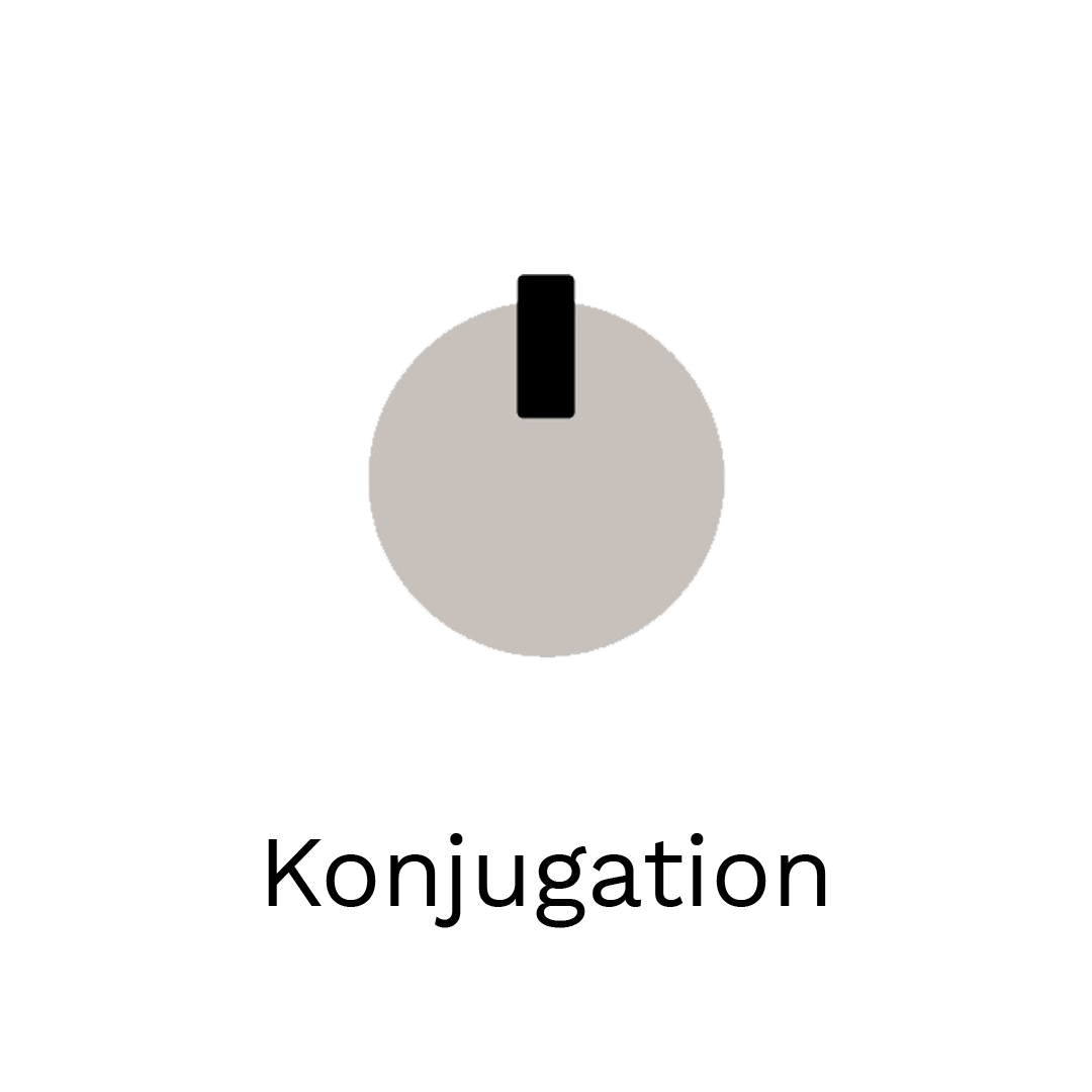 Konjugation